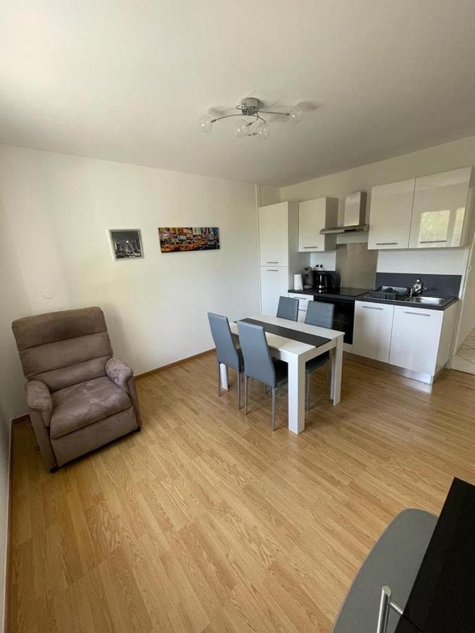 Appartement Le Domaine Des Libellules Proche Walibi Corbelin Zewnętrze zdjęcie